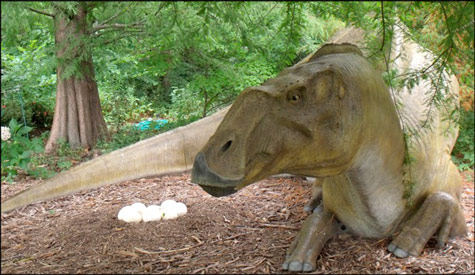 Hadrosaur