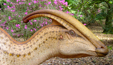 Parasaurolophus